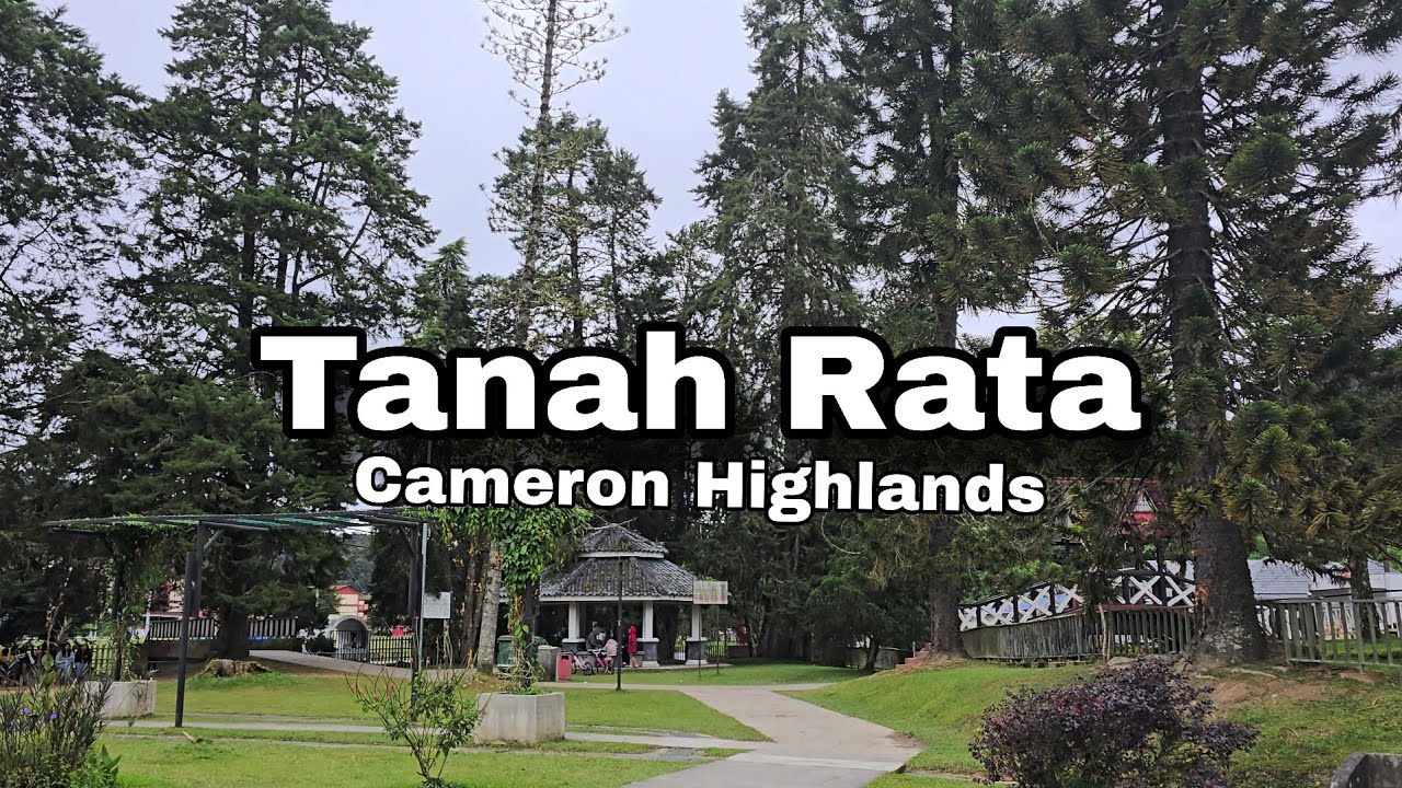 Tanah Rata Cameron Highlands Walking Tour 🇲🇾 | Malaysia #cameronhighlands #tanahrata #kl 