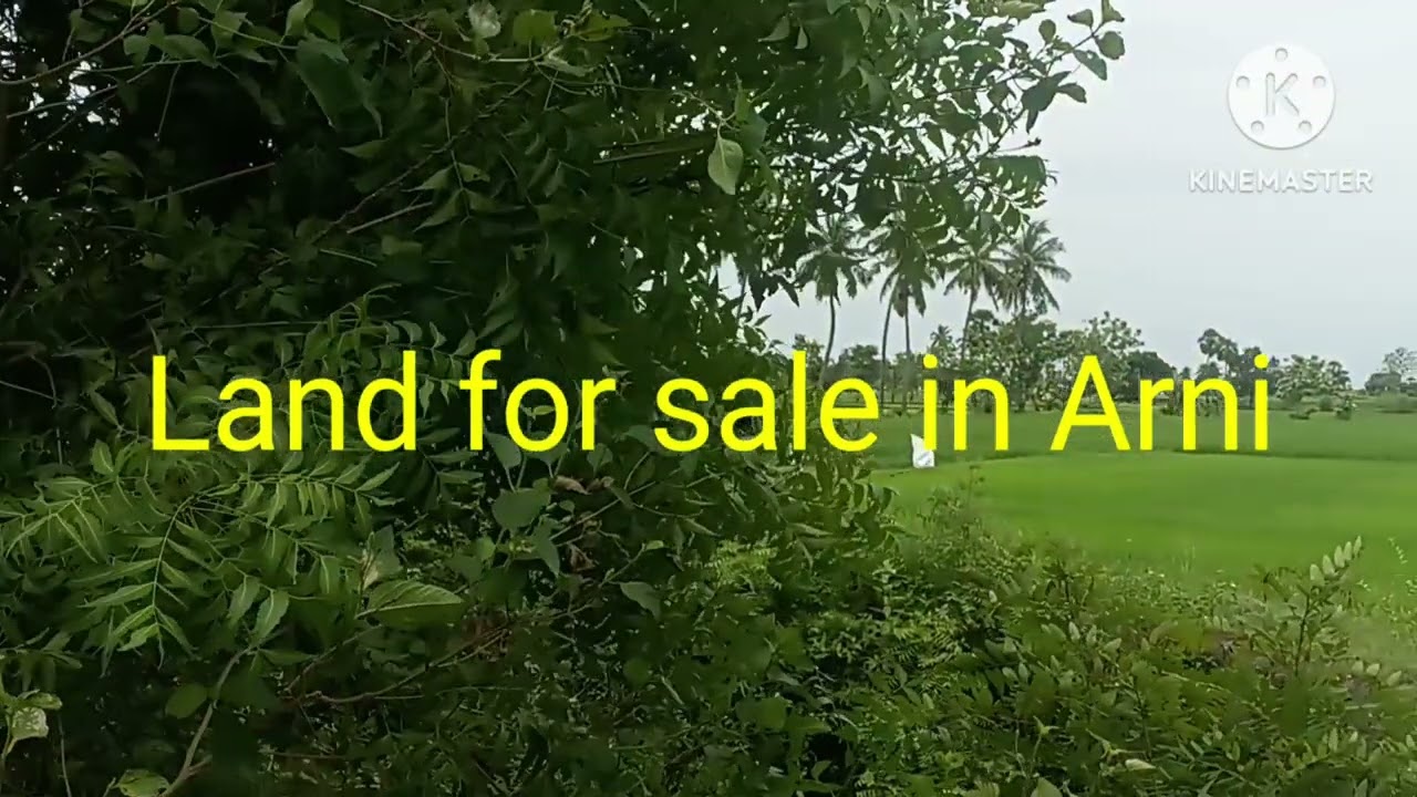 #8072660564 #landforsale #arni #arcot #vellore #kannamangalam #kalavai #Timiri #cheyyar 