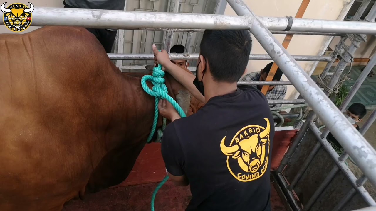Bakrid Coming Soon Team (Goodlands 10.12.2021)