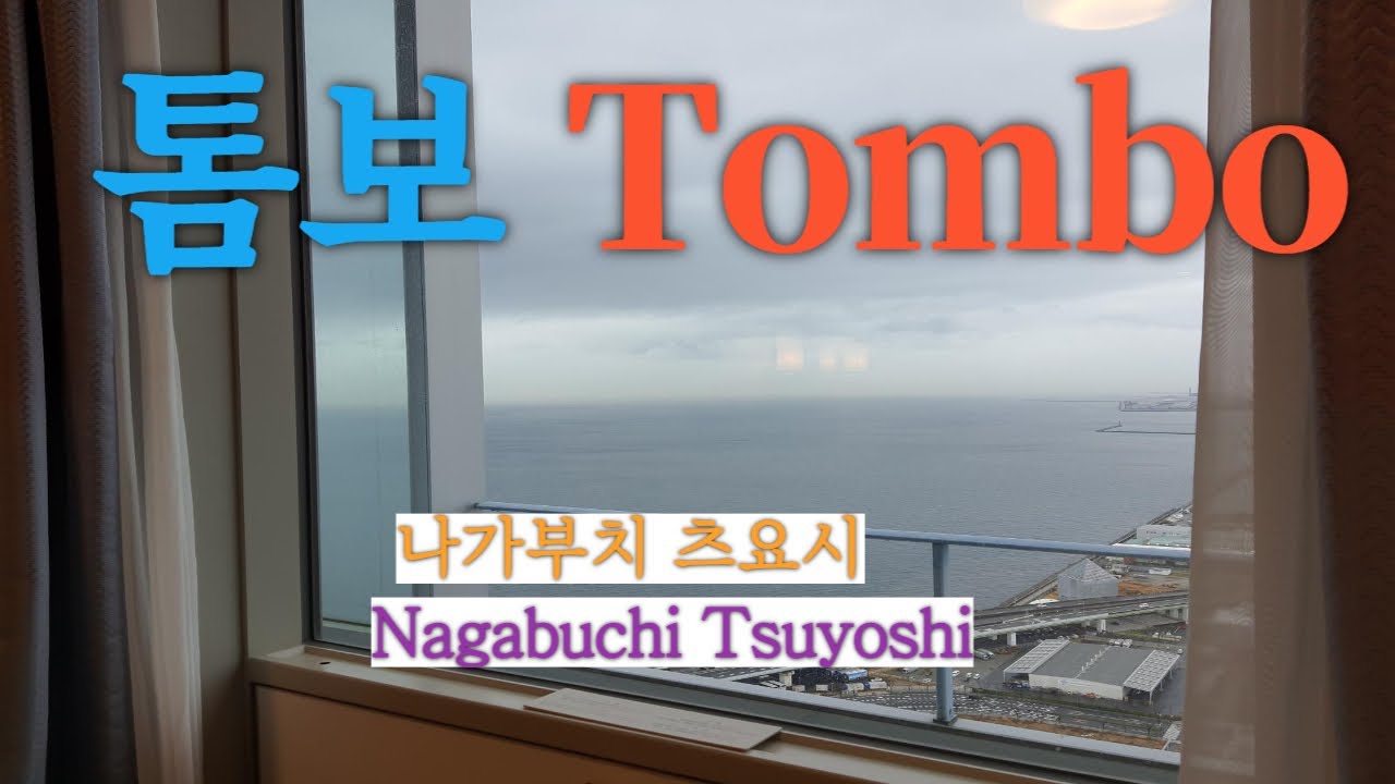 トンボ Tombo 톰보 /  나가부치츠요시 Nagabuchi Tsuyoshi