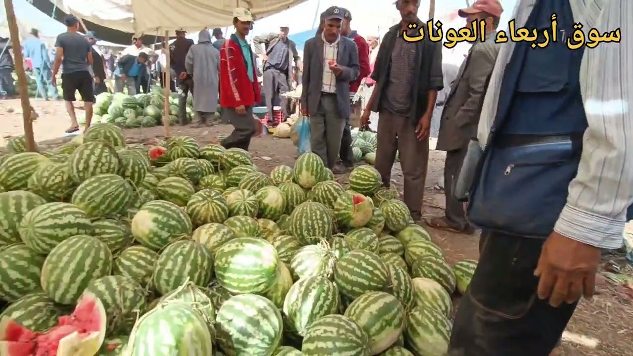 جولة سوق أربعاء العونات إقليم سيدي بنور