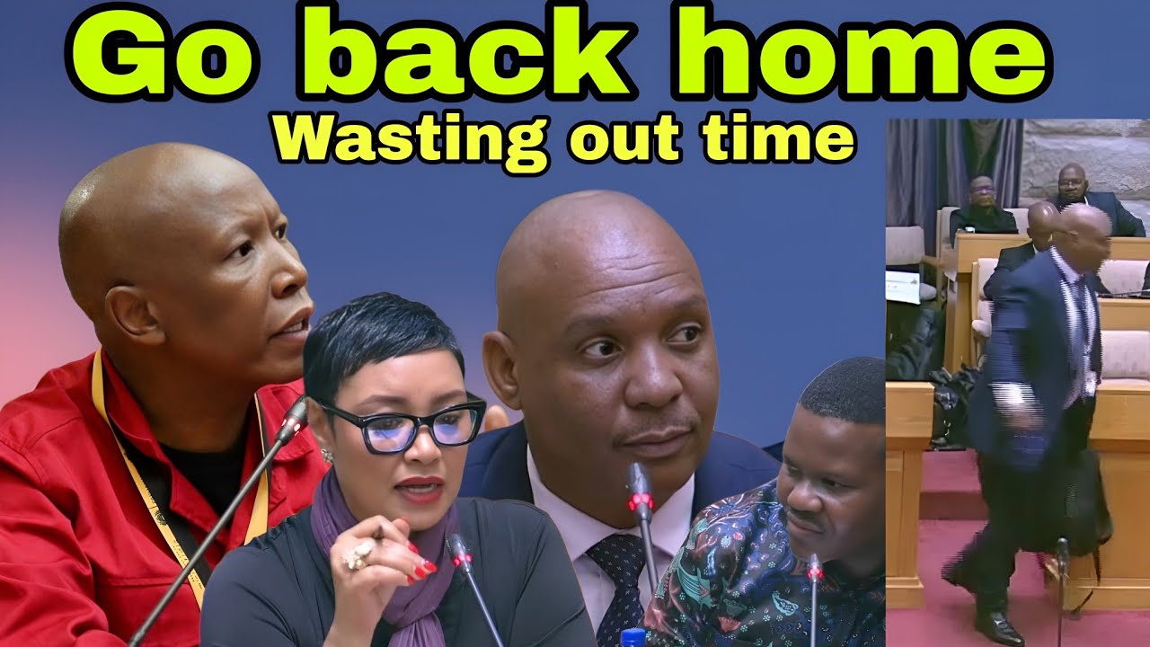 MPs chase Cedrick Nkabinde out for 