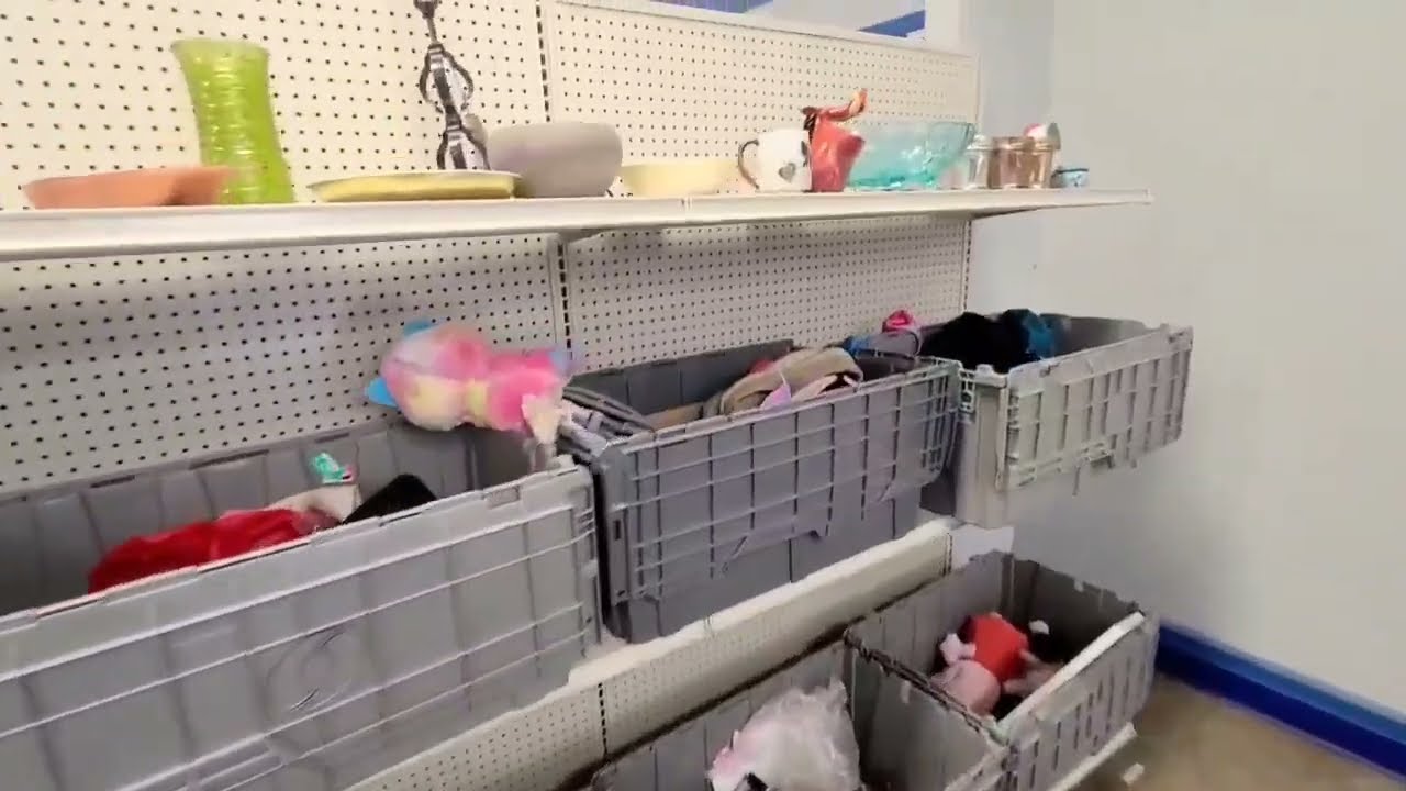 Thrift with me at the Goodwill bins for secondhand home decor • thrifting for resale