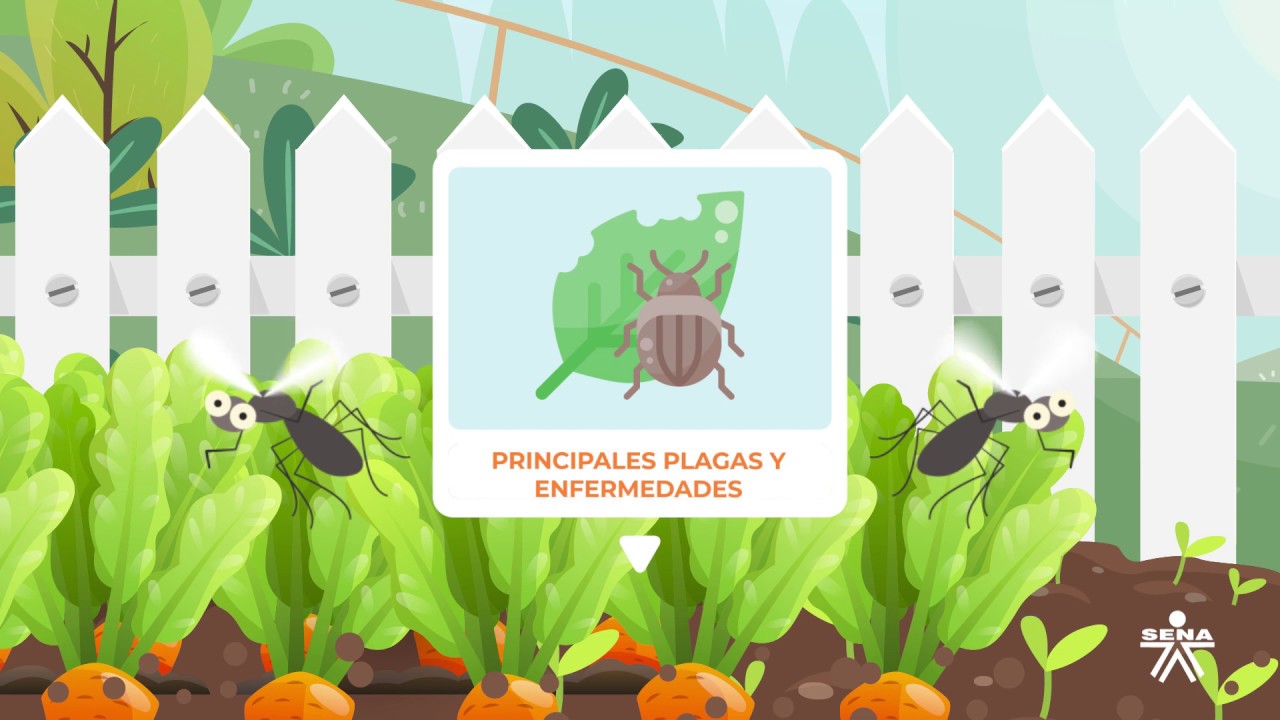 Intro - La Sanidad Vegetal en la Agricultura