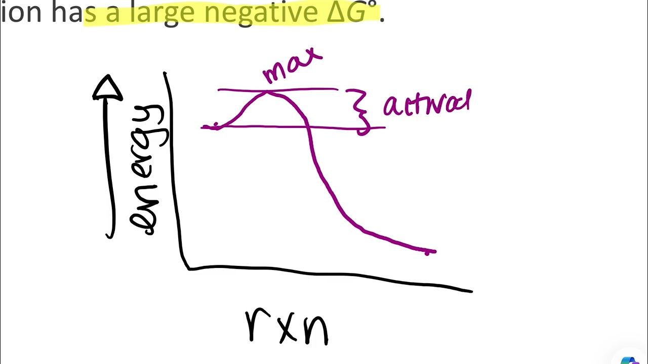 Practice Problems | Reaction Diagrams