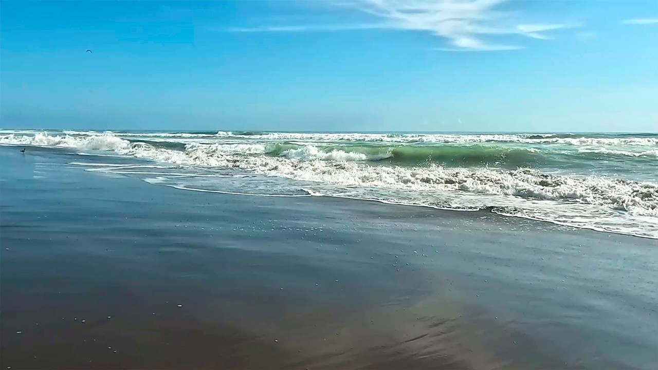 Relaxing Ocean Panorama | Ambient Music for Focus, Calm & Stress Relief | Natural Pulse (1h 50m)