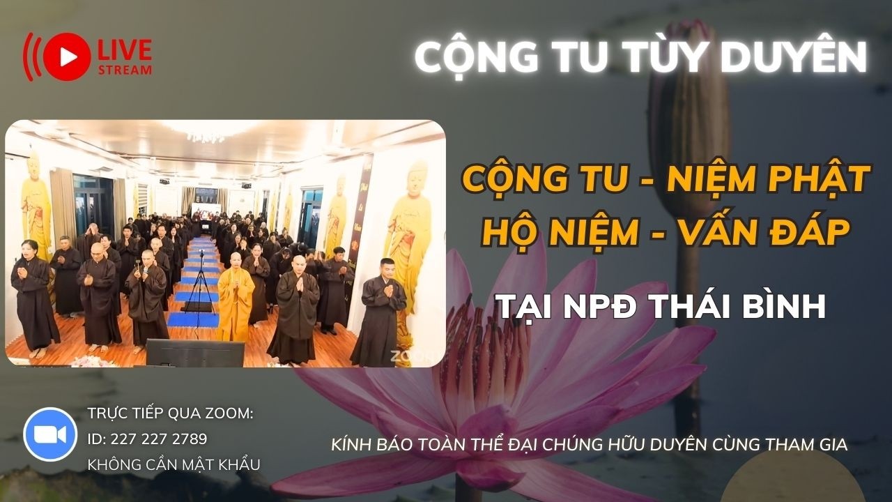 [🔴] TRỰC TIẾP CHƯƠNG TRÌNH CỘNG TU - NIỆM PHẬT - HỘ NIỆM - VẤN ĐÁP TẠI NPĐ THÁI BÌNH