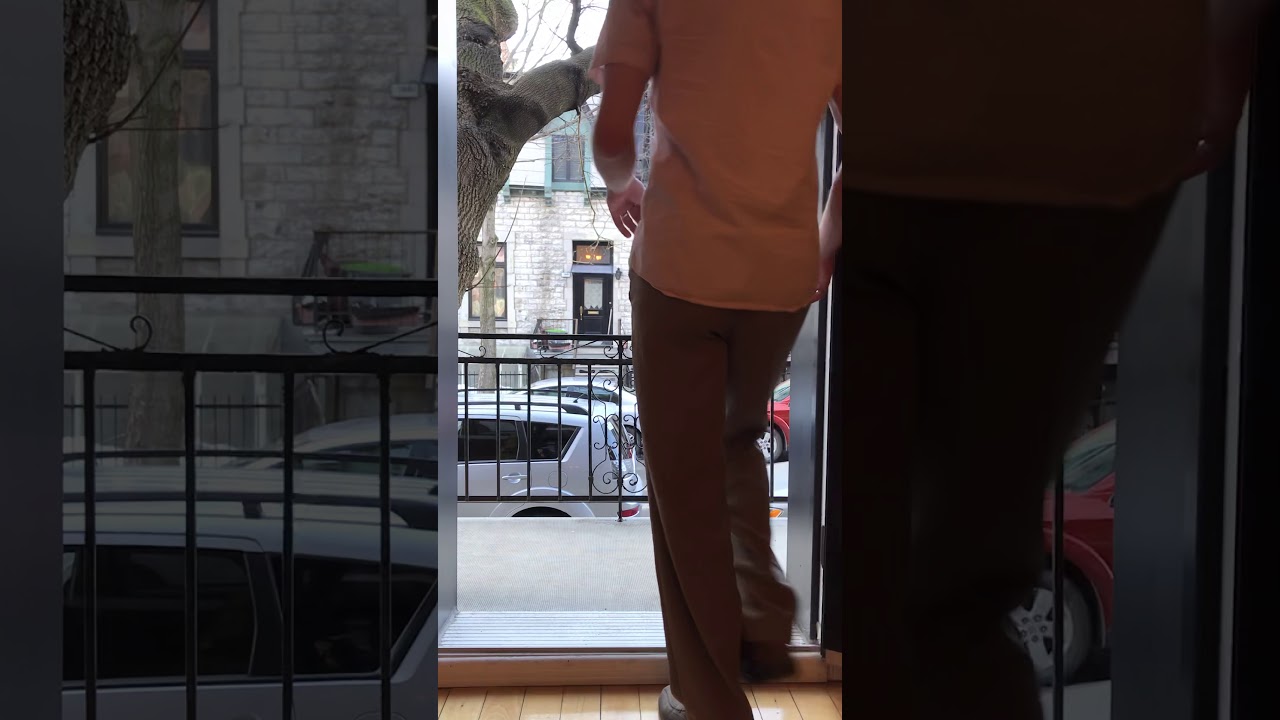 Le Shim Sham (Tentative) #danselavie #restecheztoi