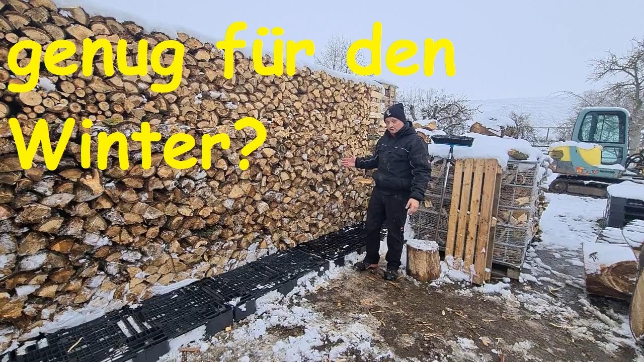 #004 Holz vor der Hütte - Brennholz stapeln bei Frost/ stacking Firewood