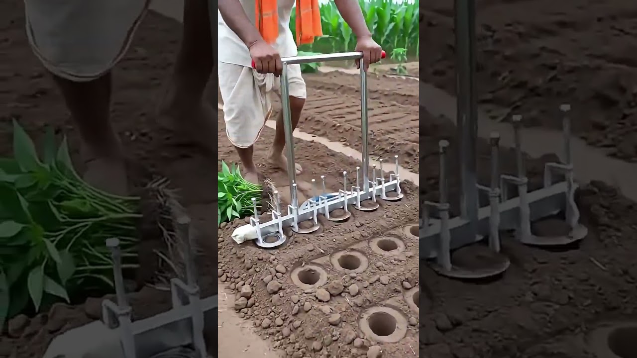 Manual Rice Planting Tool 🌾 | Fast & Precise Paddy Seedling Planting in Wet Fields #shorts