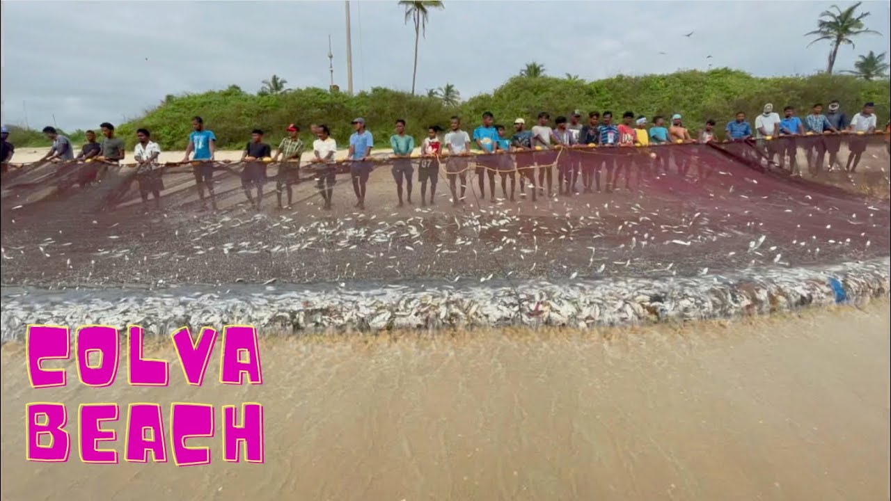 Fishermen Fish Catching in Goa at Colva Beach