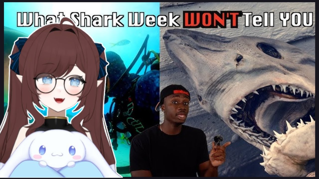 Pinebaby reacts to Why The World Without Sharks Might be Your Biggest Nightmare || Casual Geographic