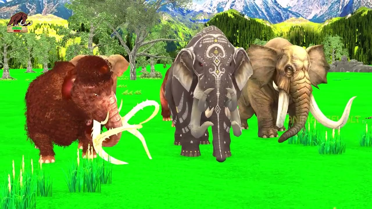 10 Mammoth Elephant Cow vs 10 Zombie Bull vs 10 Giant Lion Tiger Attack Cow Gorilla Save By Mammoth