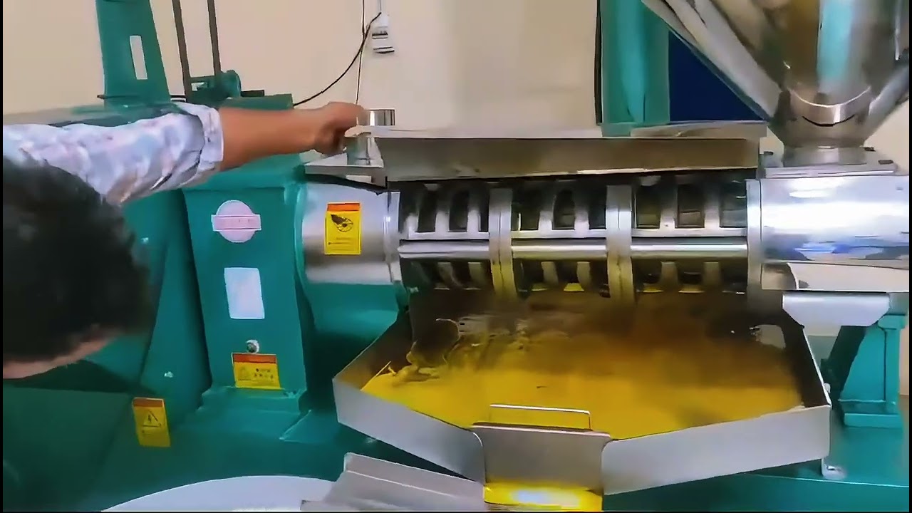 6YL-195 screw oil press machine in India customer's oil mill to press mustard oil#oilmaking#oilpress