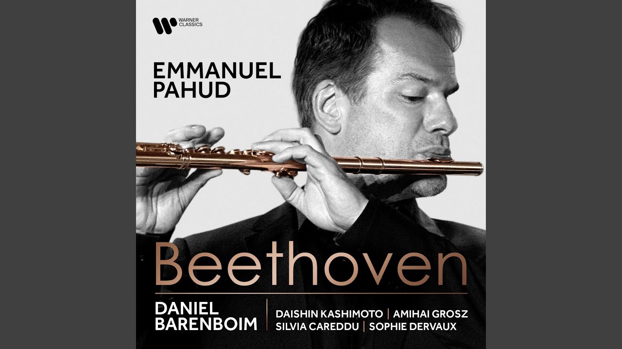 Duo for 2 Flutes in G Major, WoO 26: I. Allegro con brio