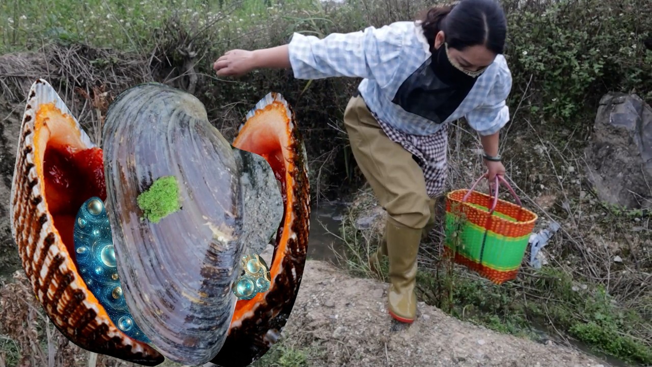 Magical wild freshwater giant oyster with precious jewelry inside its belly