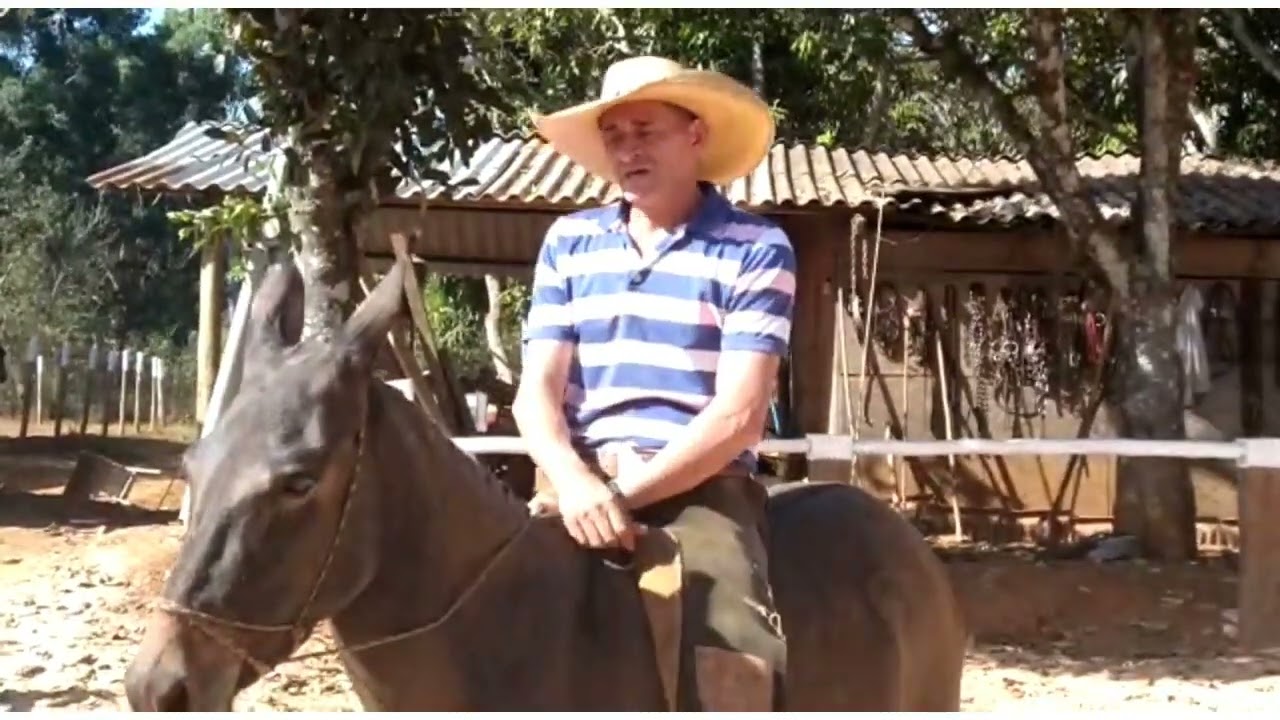 COMO INICIAR A FLEXÃO DE NUCA ANTES MESMO DE USAR EMBOCADURA PARTE 02