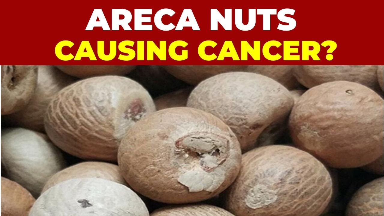 Divyesh Singh: 100 Trucks of Cancer-Causing Indonesian Areca Nuts Reach Delhi After CGST Busts