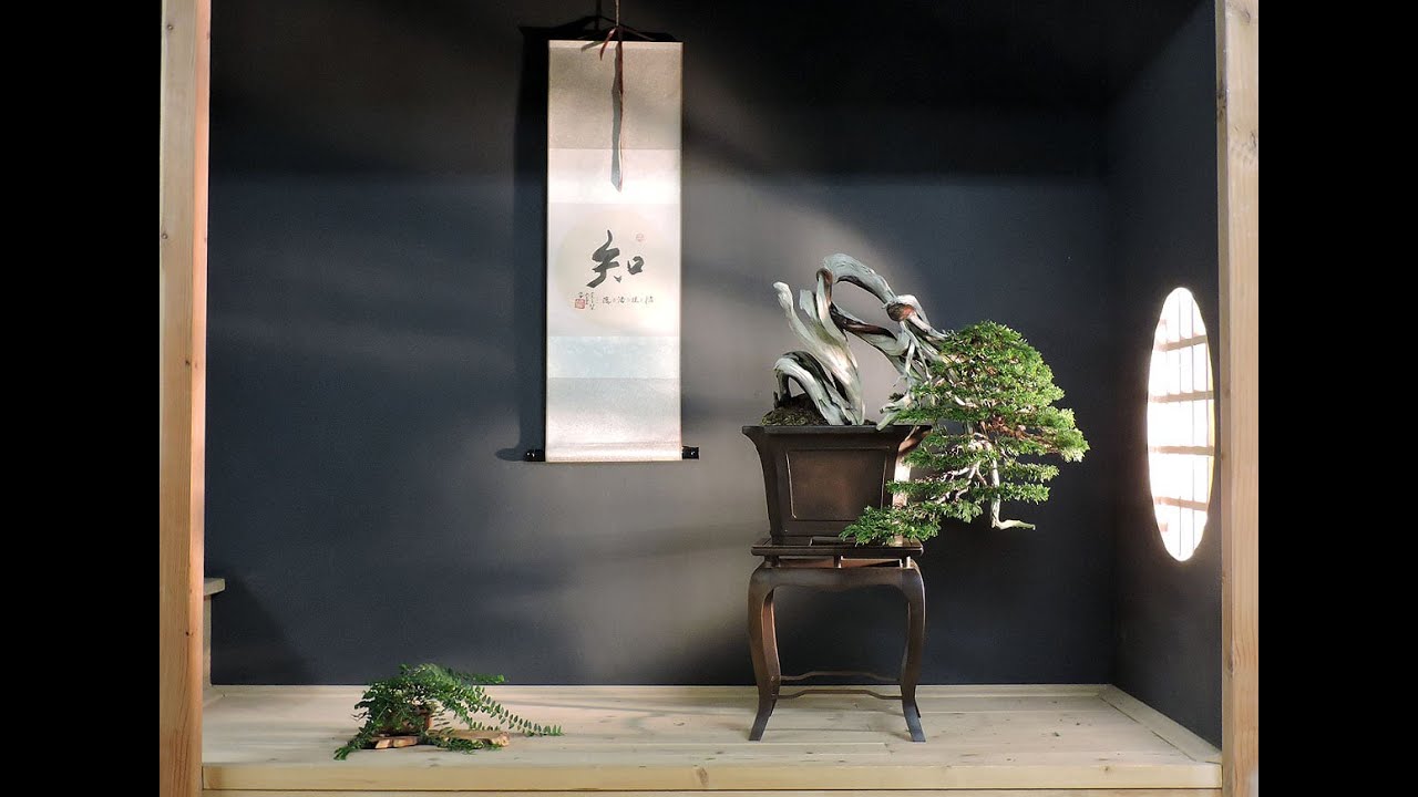 Playing with compositions (Juniperus sabina)