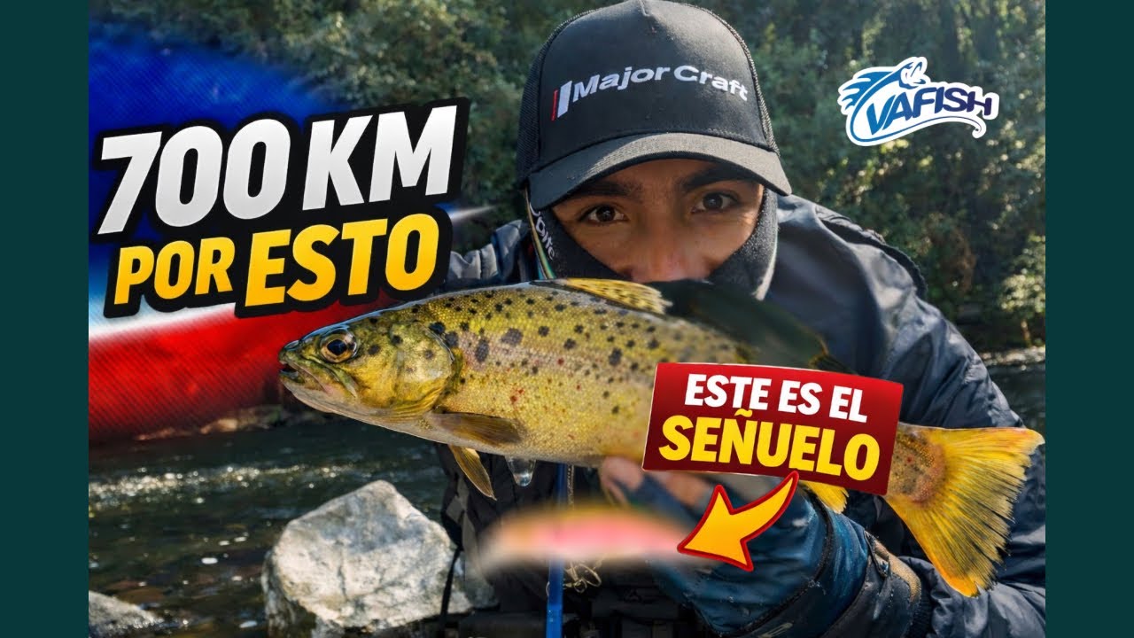 700 KM AL SUR BUSCANDO TRUCHAS | Pesca en la Araucan&iacute;a 🇨🇱