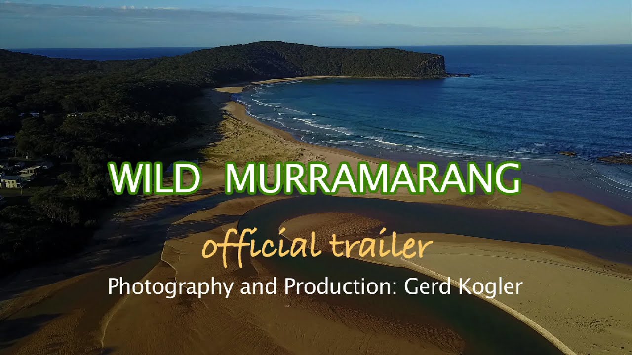 'WILD MURRAMARANG'  -  OFFICIAL TRAILER