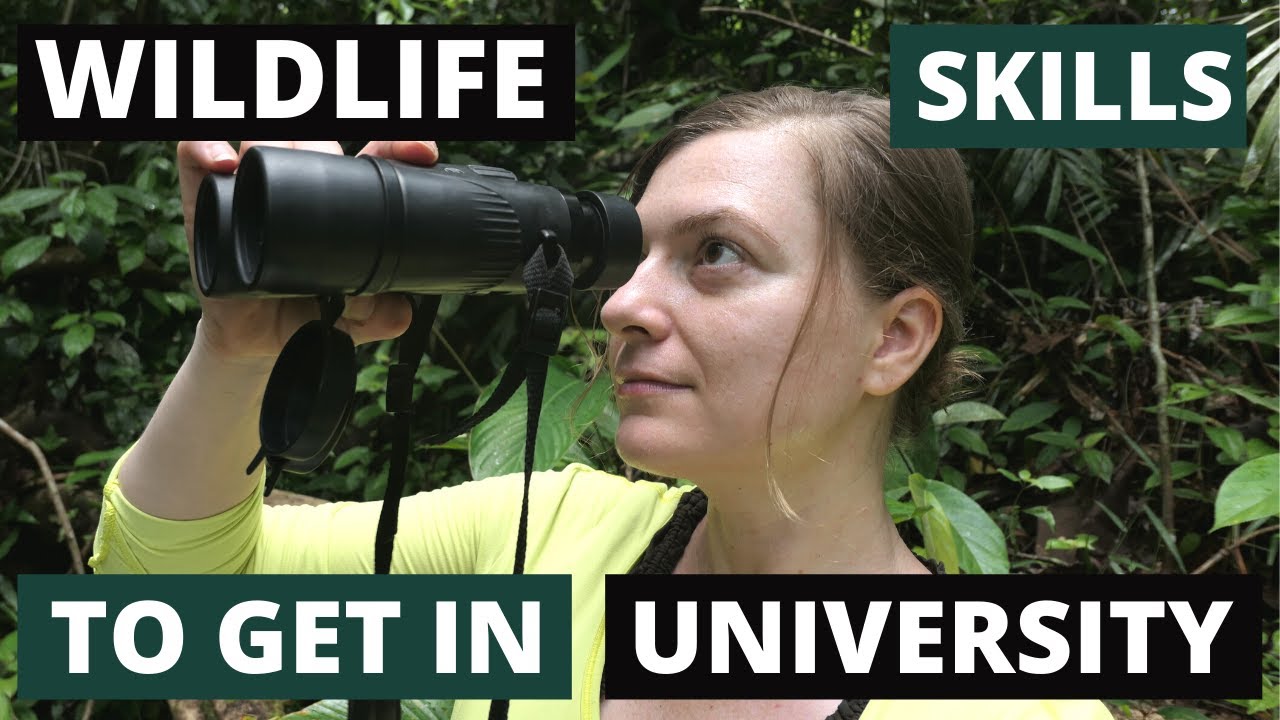 Essential Skills for Wildlife Biologists