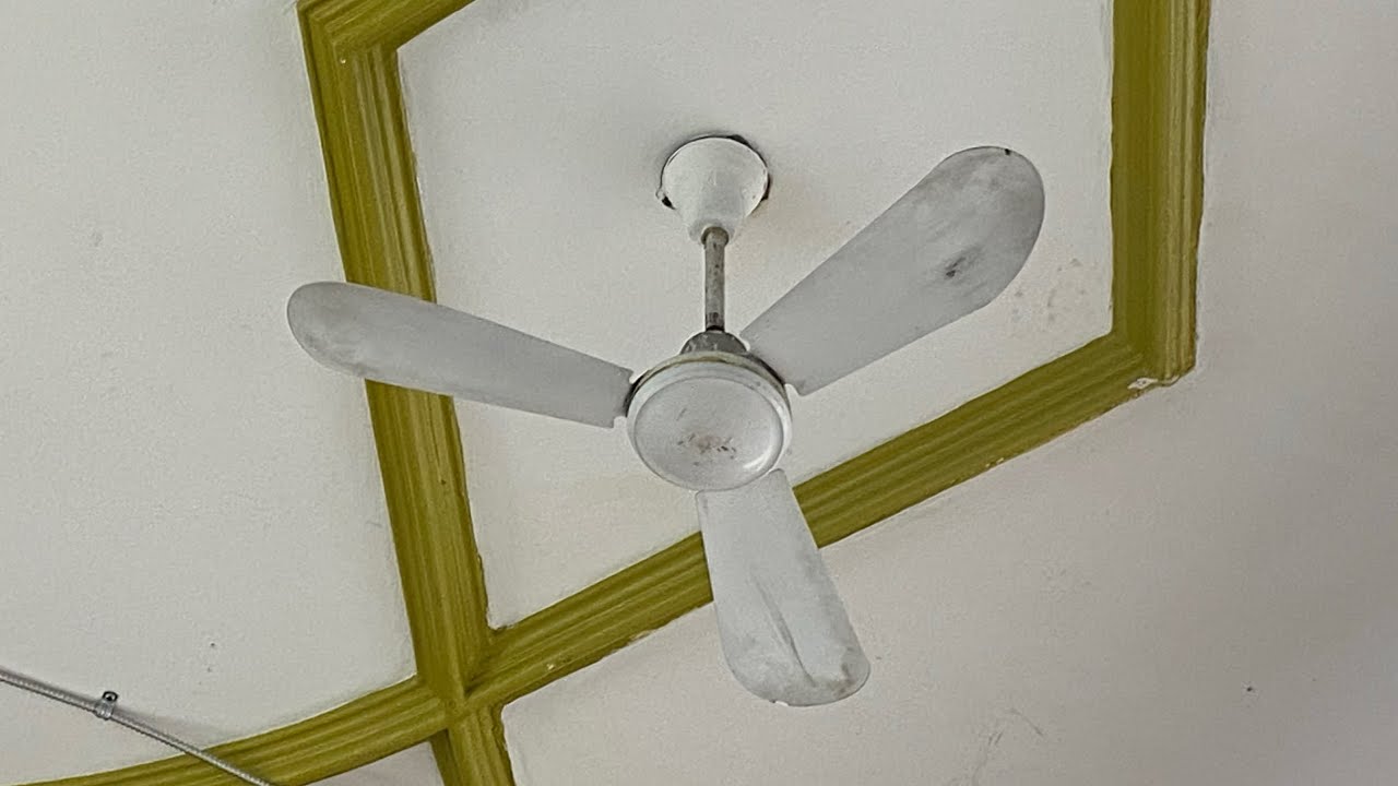 Some fans sightings