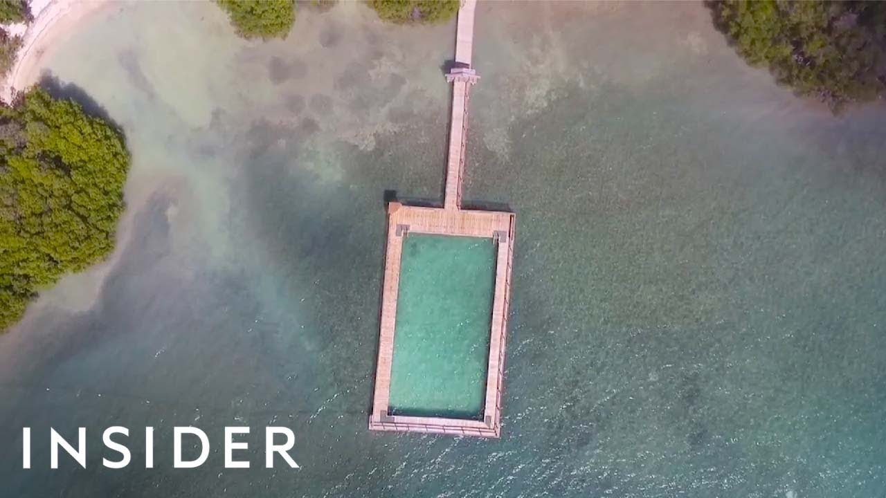 Swim In A Pool In The Ocean