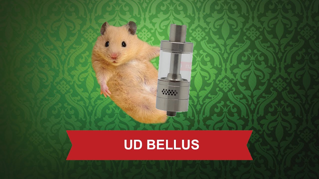 UD Bellus - обзор от Папироска.рф