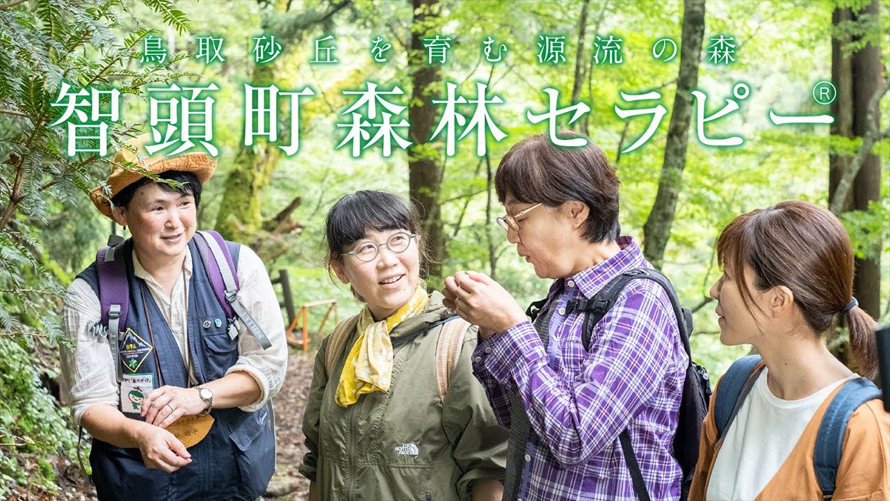 智頭町森林セラピー紹介動画