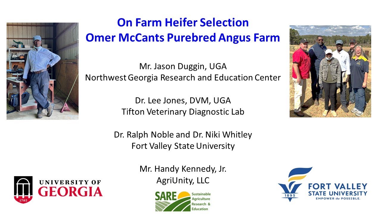 On Farm Heifer Selection