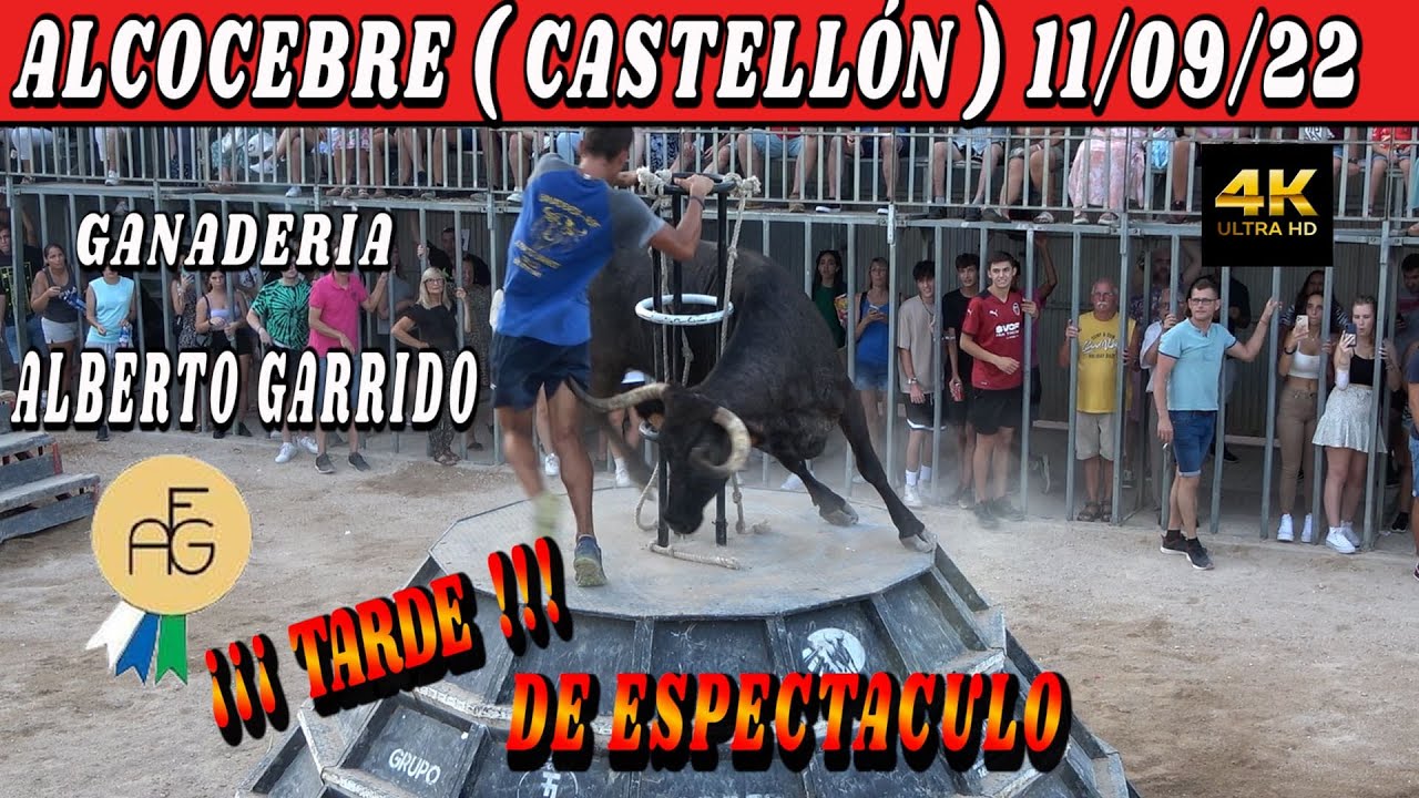 👀👉ALCOCEBRE 11/09/2022 ALBERTO GARRIDO