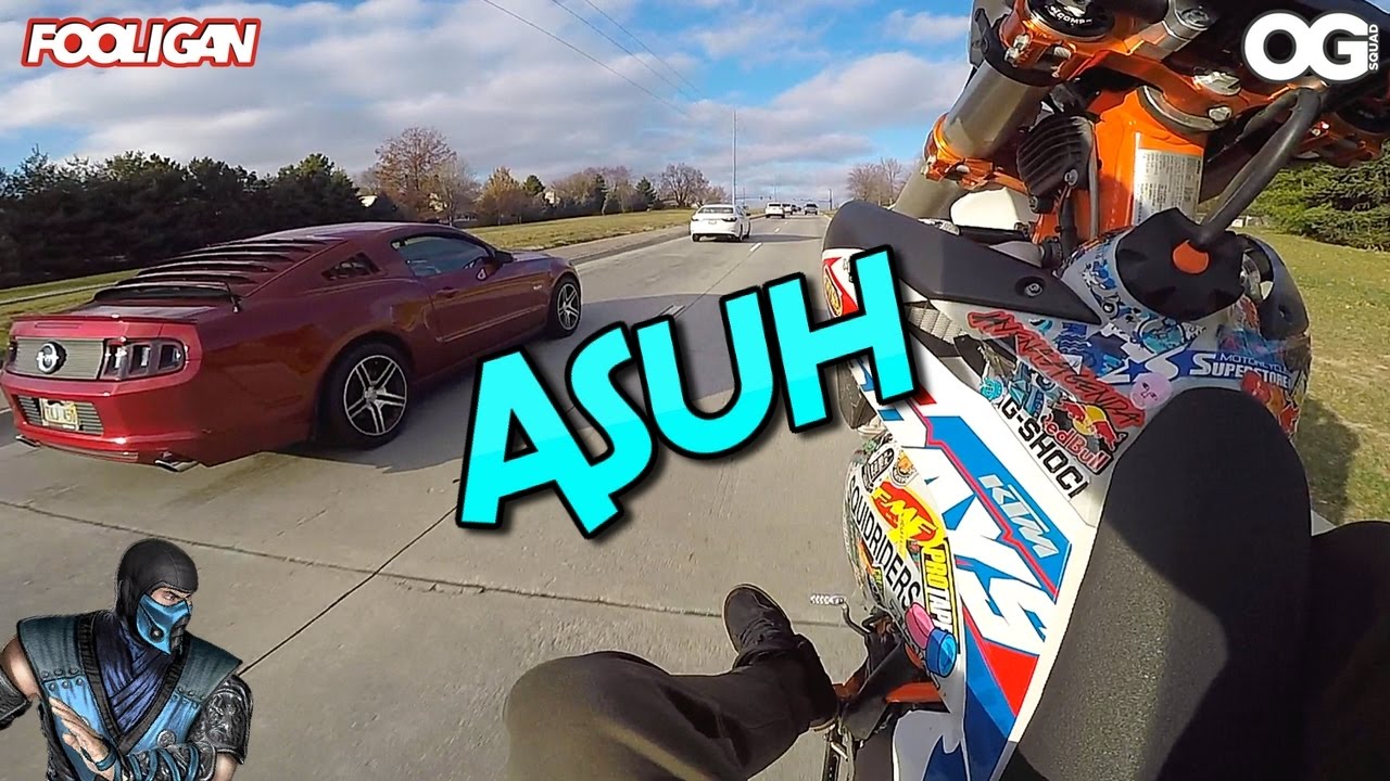 Busted | Winter Wheelies | What Are You Smoking?