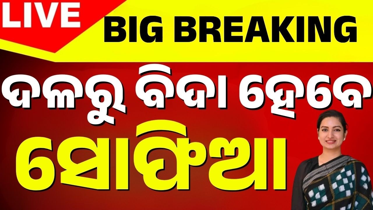 🔴ଦଳରୁ ବିଦା ହେବେ ସୋଫିଆ Rajyasabha Election | Odisha Rajyasabha Poll | Congress | Sofia Firdous
