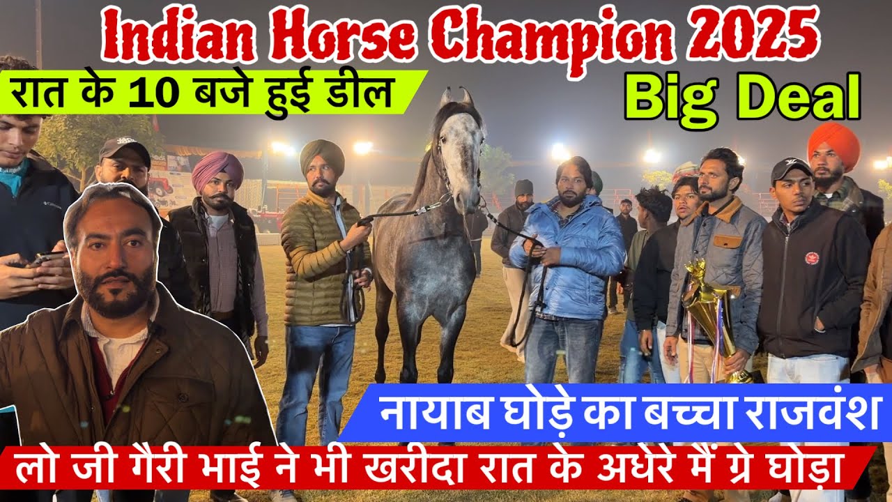 लो जी गैरी भाई ने भी खरीदा रात के अधेरे मैं नायब घोड़े का बच्चा राजवंश!