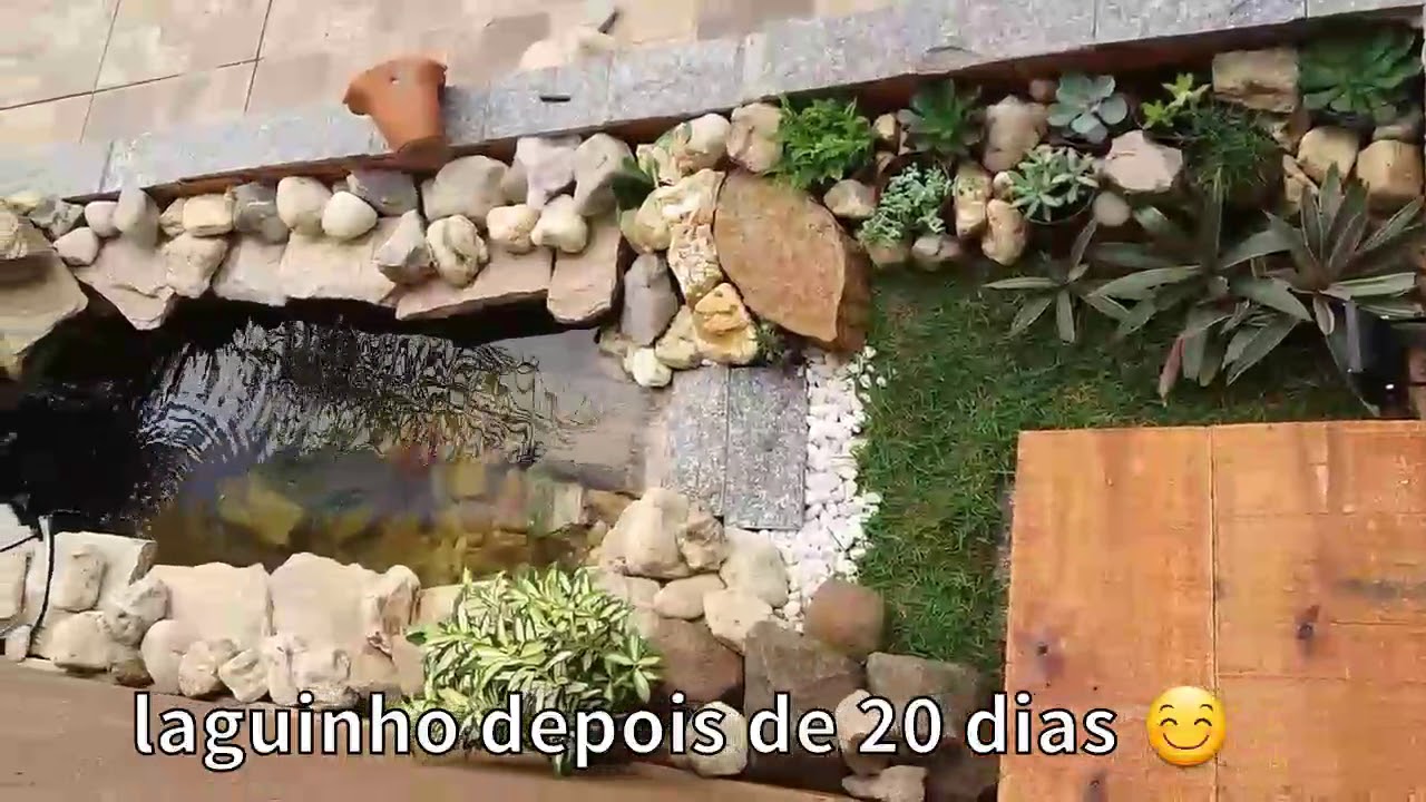 Fiz um lago para tartaruga tigre d'agua e carpas na casa do joey