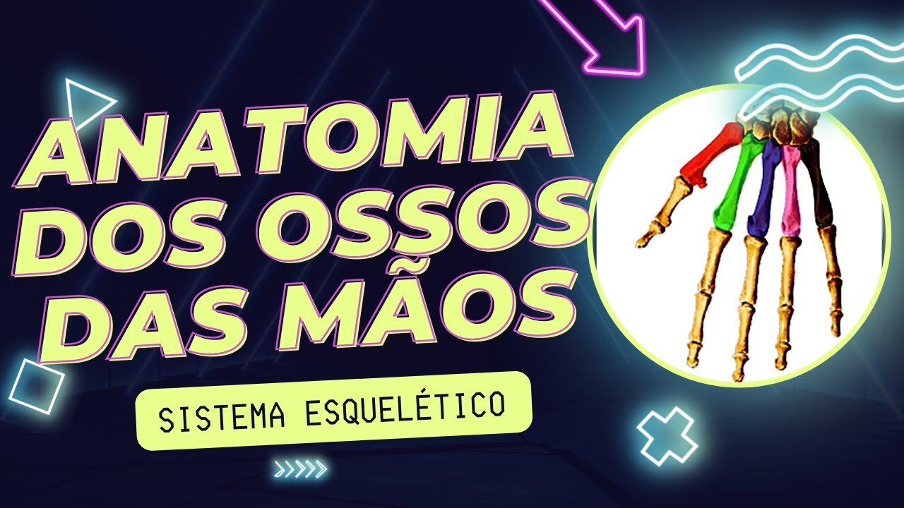 Aula 13 - Anatomia dos Ossos das Mãos