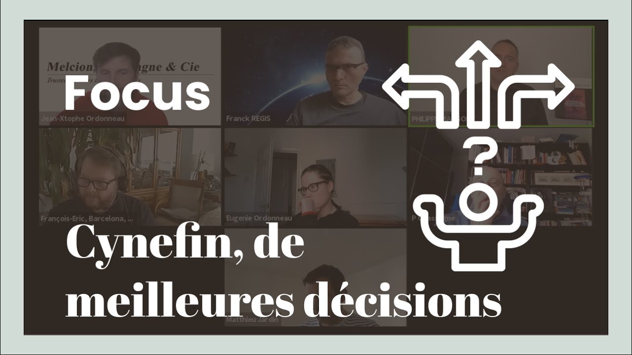 Prendre de meilleures décisions avec le Framework Cynefin | Stratégie