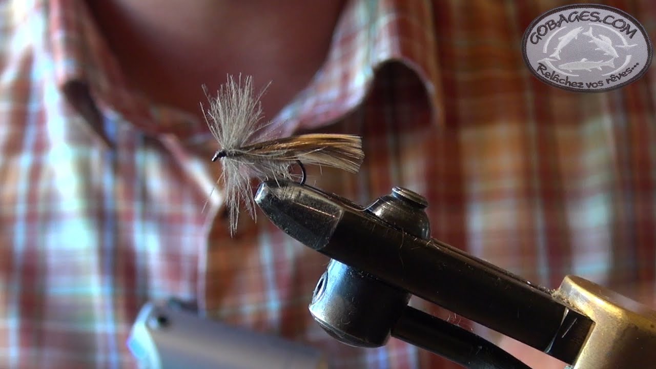 Montage d'un Grand sedge