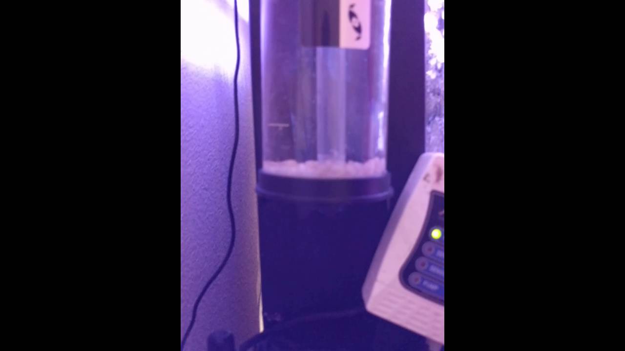 Biocube 29 Phosban 150 biopellet reactor