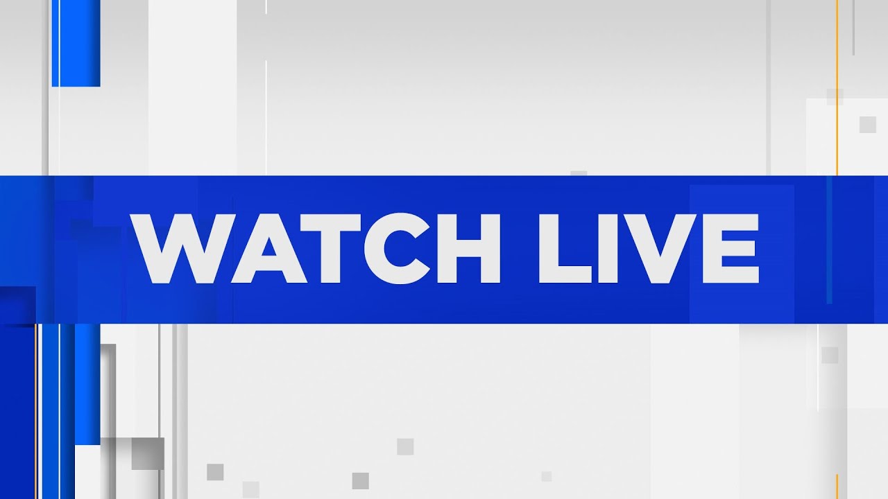 WATCH LIVE | Orlando police seek information after chaos injures 12 at Lake Eola fireworks show.