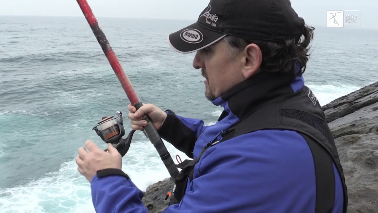 Pesca con bola,sargos en la rompiente.