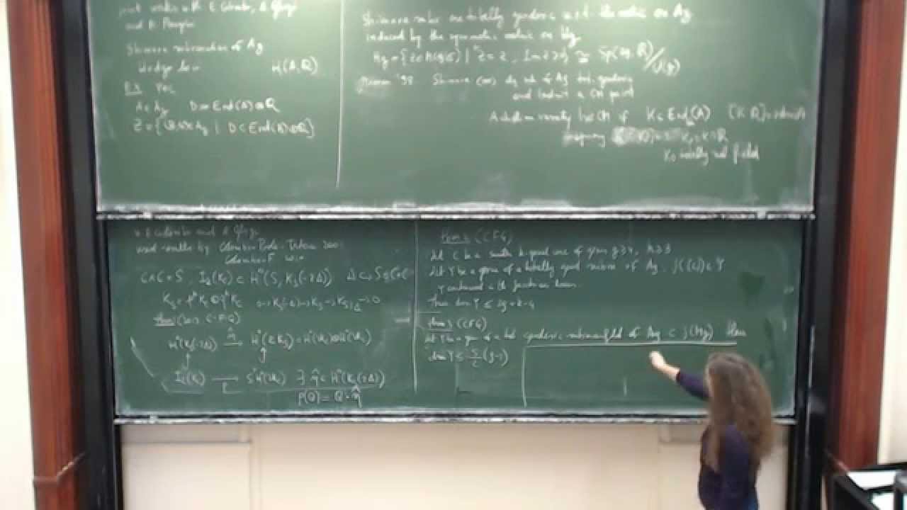 Paola Frediani: Totally geodesic submanifolds in the Torelli locus