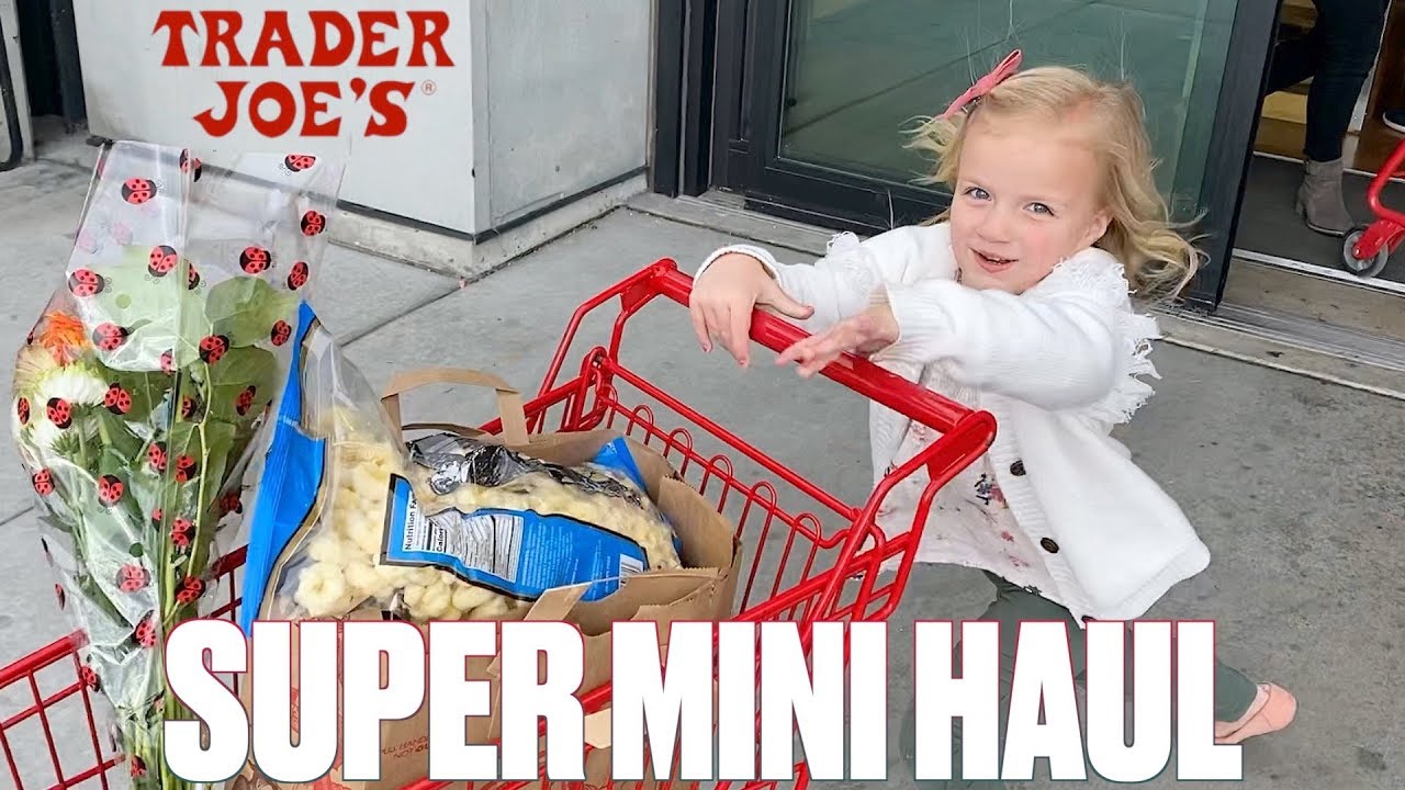 TRADER JOES ULTRA MINI GROCERY HAUL | ONE WEIRD THING YOU HAVE TO BUY!