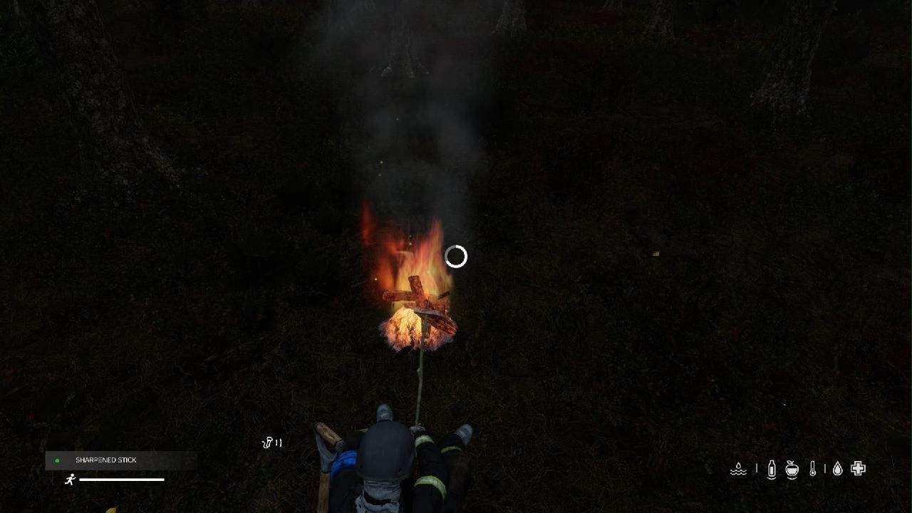 DayZ Dark is the Night