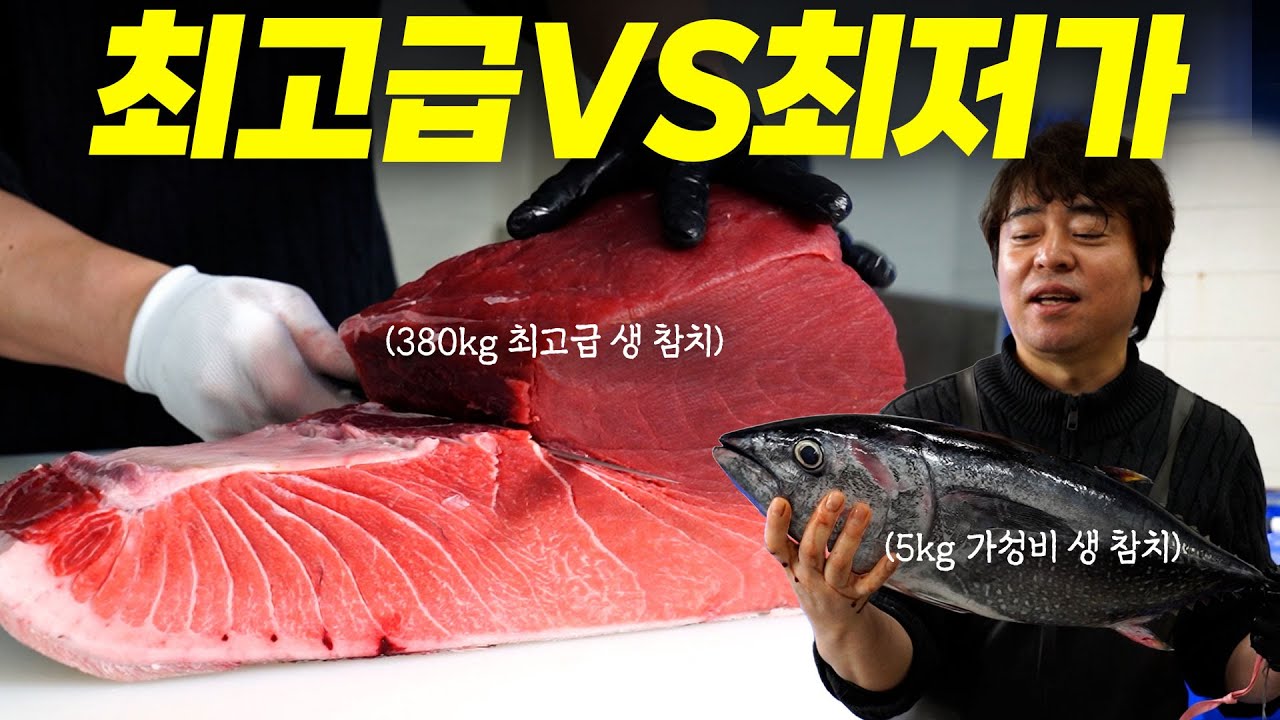 생 참치에 대한 논쟁 종결...! 국내 최고가VS최저가 생 참치, 전격 비교해 봤습니다.