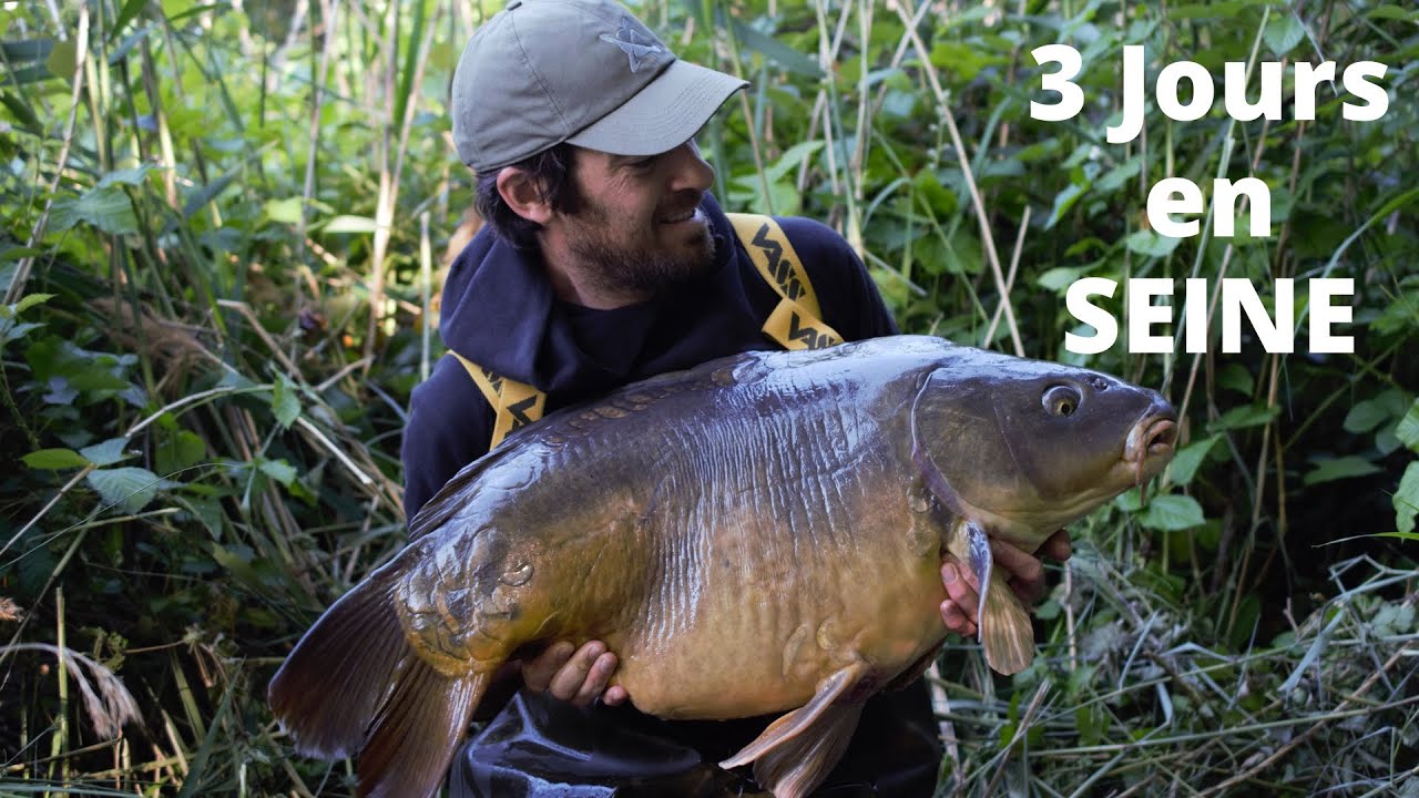 3 jours en Seine 2020. Carpfishing