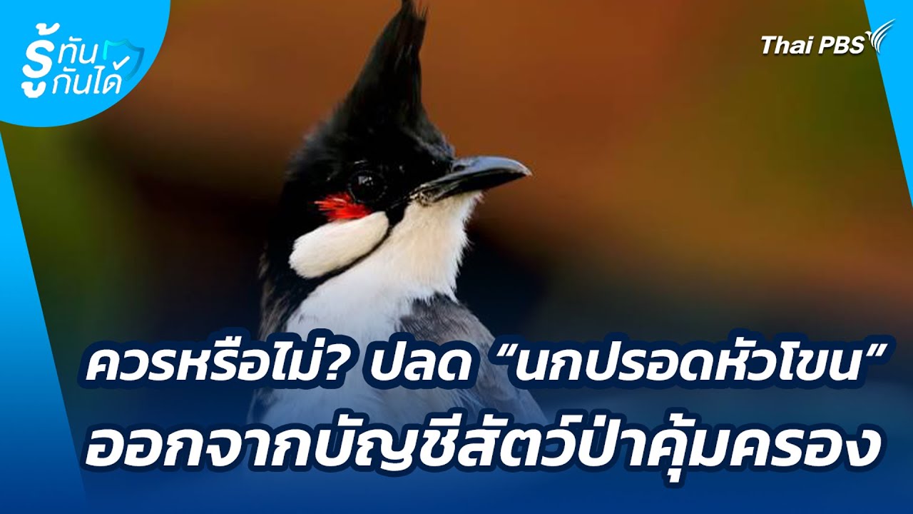 ควรหรือไม่? ปลด 