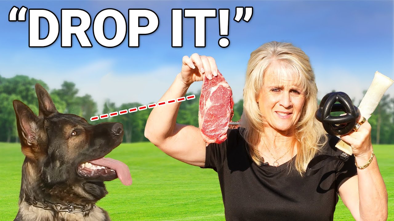 Master the 'Drop It' Command in 7 Minutes