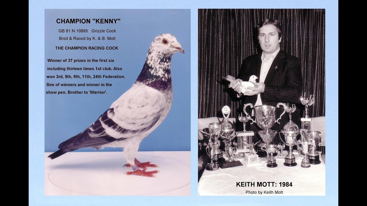 Video 496: Keith & Betty Mott of Claygate: Five of our best racers & breeders over the last 50 years